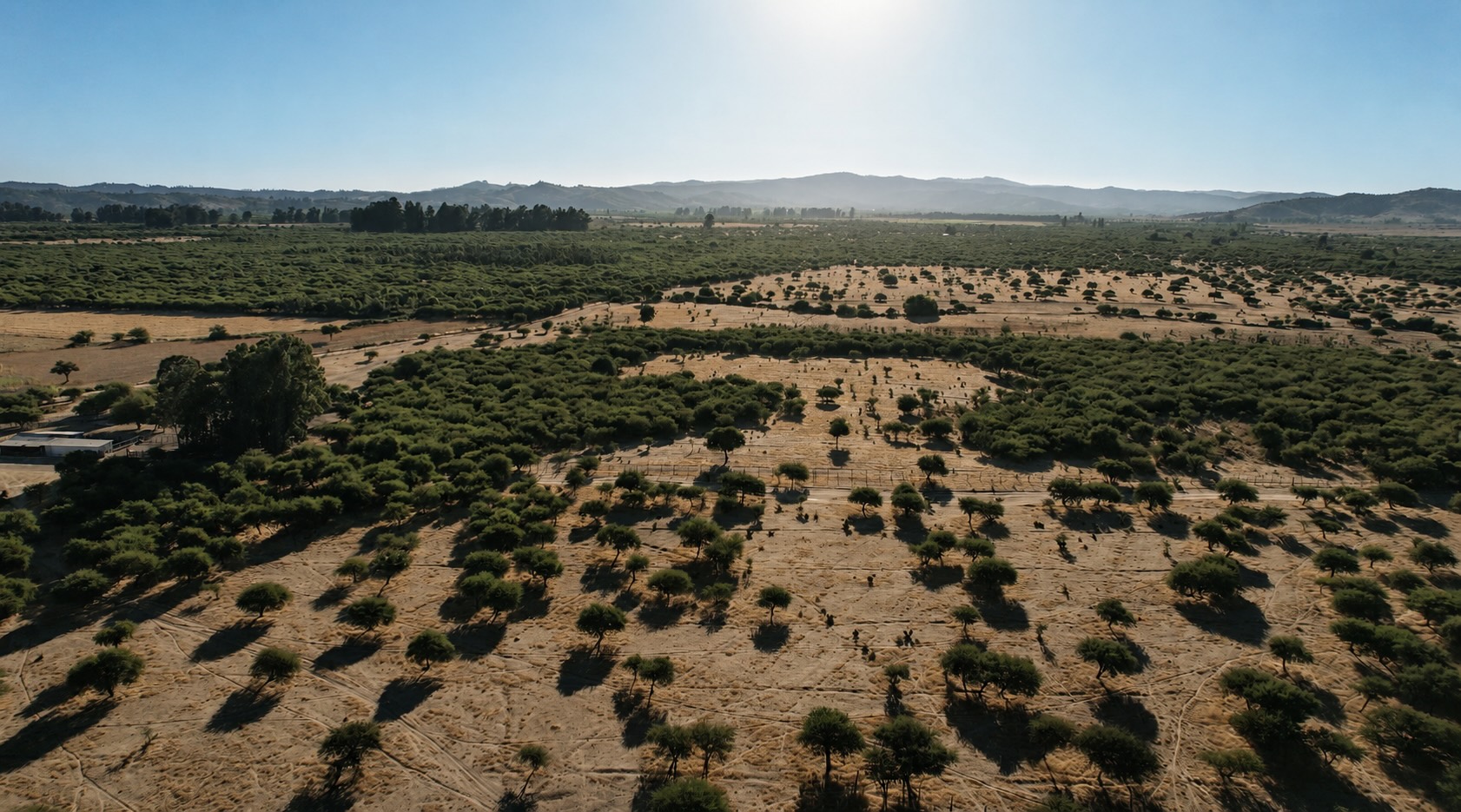 Vista abierta del terreno